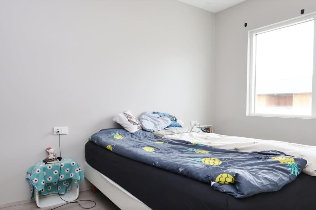 Nice & Cozy Two Bedroom Apartment With A Balcony Akureyri Eksteriør billede